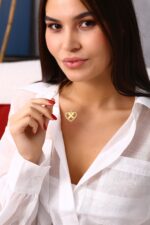 Kalp Formu Taşlı Zarif Altın Kaplama Gümüş Kolye - Görsel 5