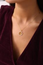 Kuş Silüeti Yuvarlak Taşlı Altın Kaplama Gümüş Kolye - Görsel 5